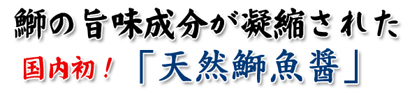 国内初、鰤で作った魚醤